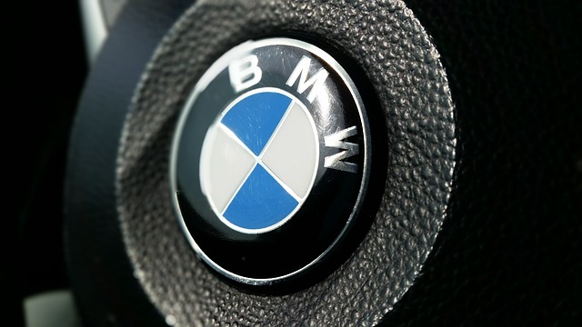 bmw logo